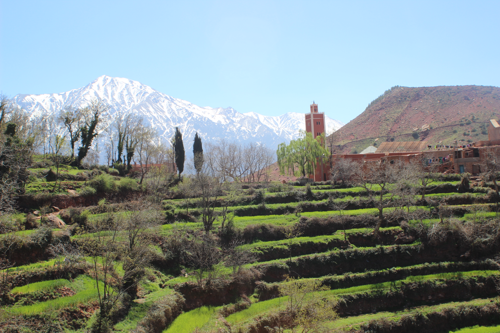 Entraînement d'escalade